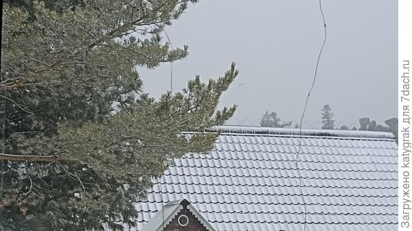 Сегодня, у нас опять шел снег...