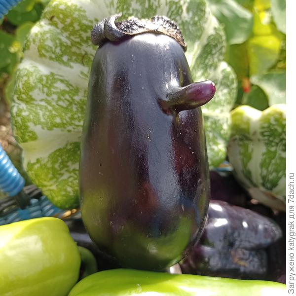 &quot;Дратути&quot;