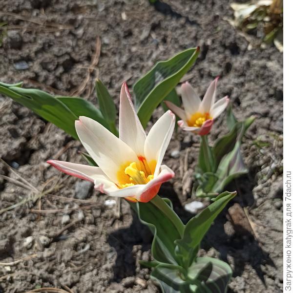 Вот и к нам пришла пора ярких красок!