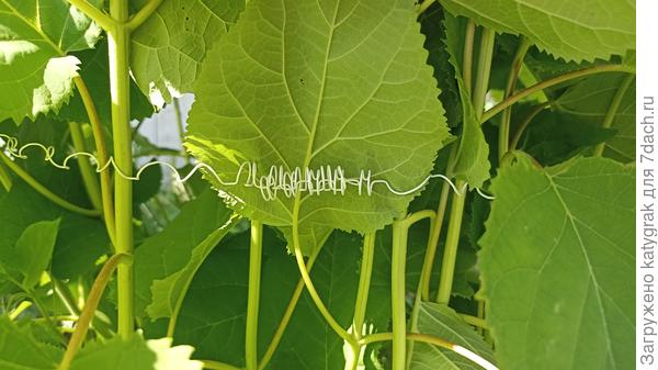 Соединение надежное