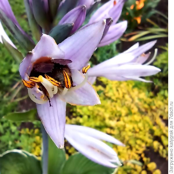 Пора худеть😁