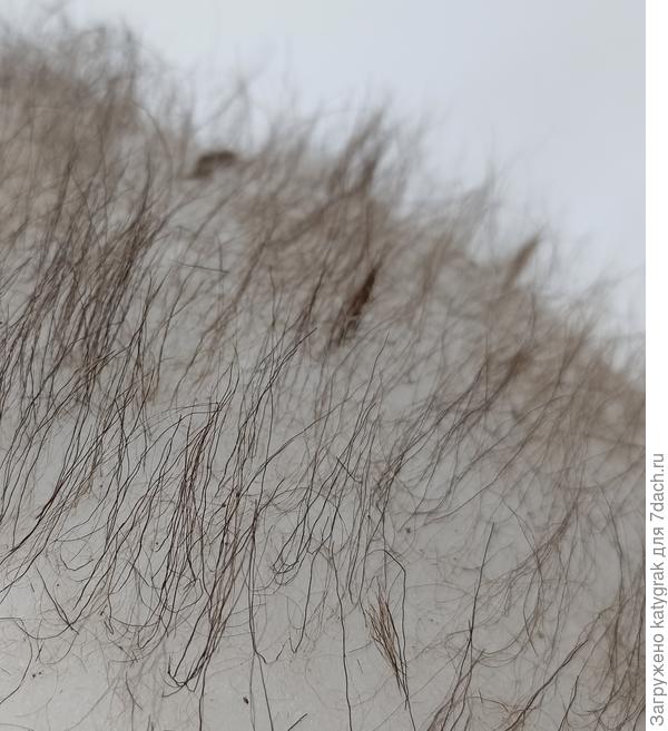 Волоски колышатся на ветру.