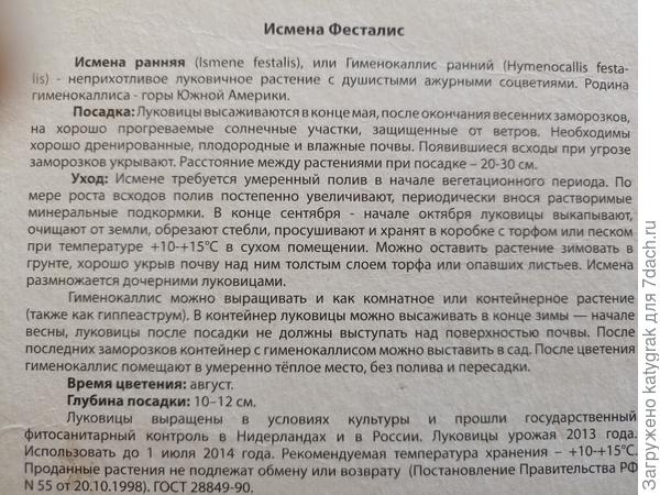 В инструкции к луковице были указаны оба варианта посадки.