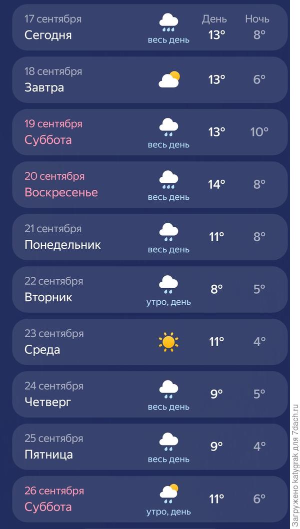 Погода на неделю