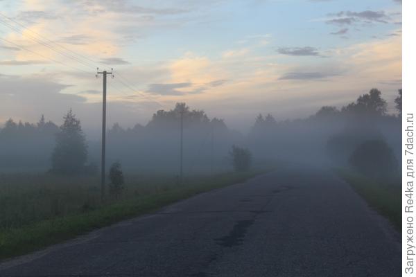 Наши туманы.