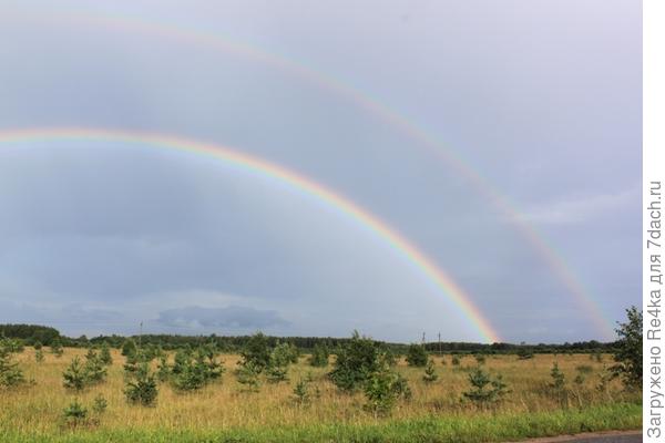 Наши радуги.