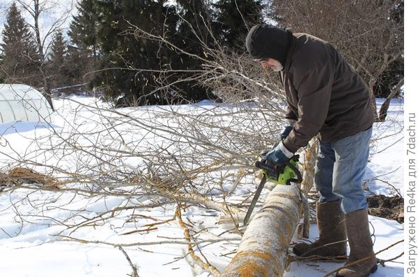Затем напилить на чурки.