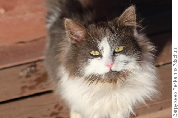 Возьми на ручки!