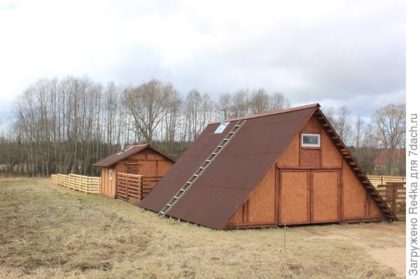 Обхожу усадьбу по часовой стрелке. Это южная сторона.