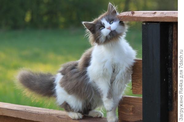 Я тебя так люблю, так люблю....