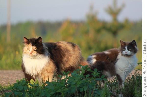 То, что старших уже никак не удивляет...