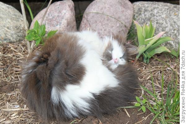 Безмятежность.