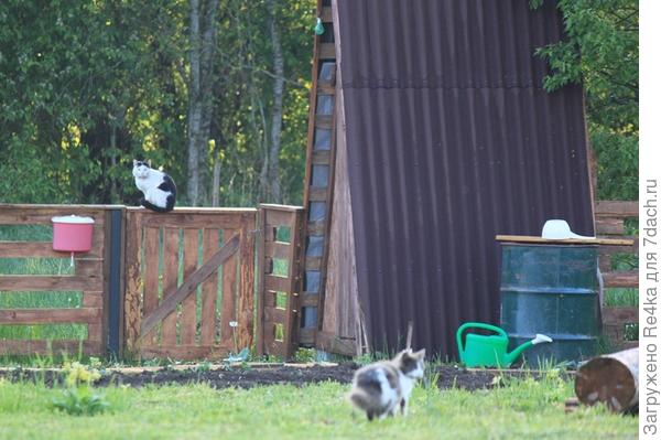 - Пойду посмотрю, кто там пришёл!