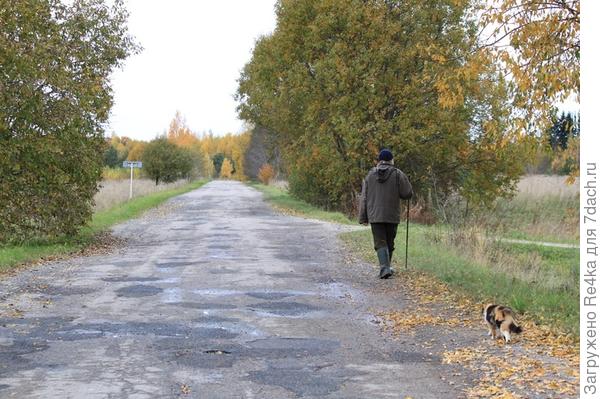Прогулка
