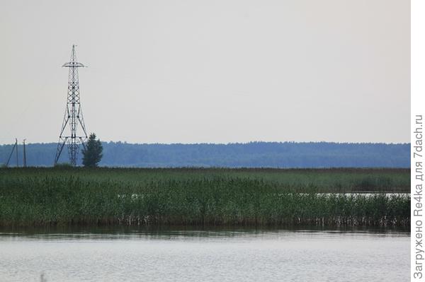 В порту.