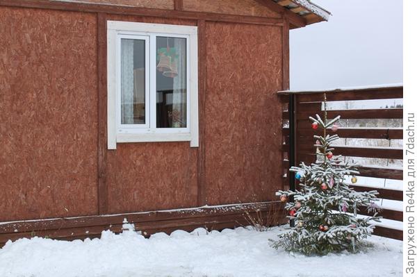 Наша ёлка во дворе.