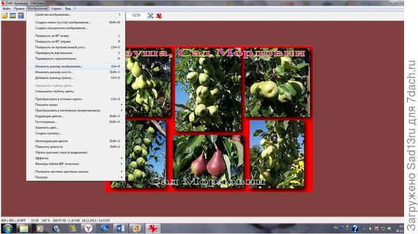 Интерфейс программы IrfanView