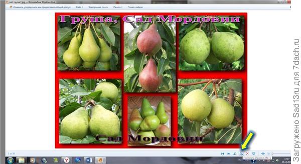 Поворот фото в фотоальбоме