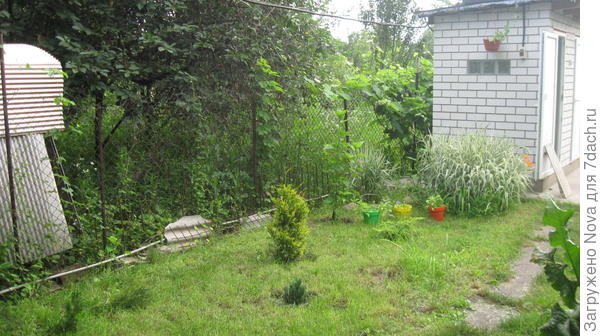 Вид из беседки