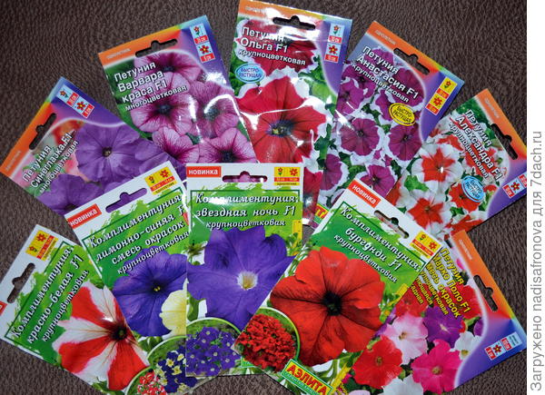 мои красотки