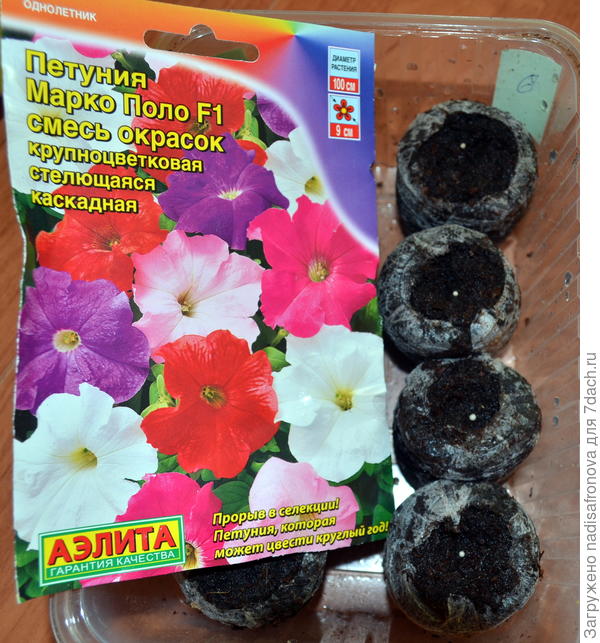 таблетки