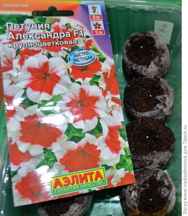 таблетки