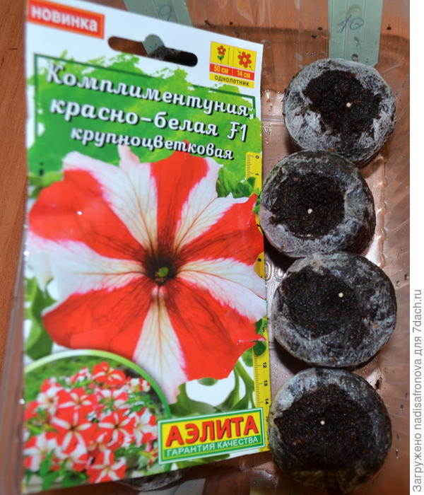 таблетки
