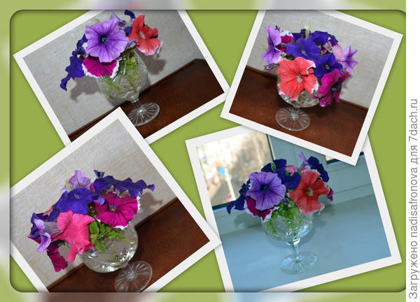 Дыхание весны