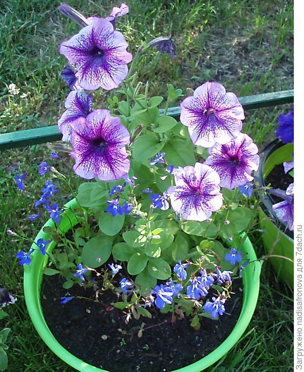 в момент высадки