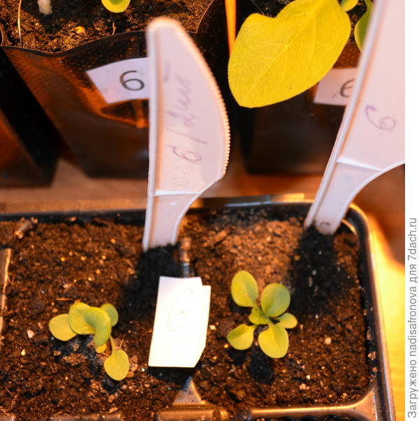 в кассетах 18.03