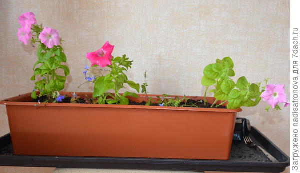 в контейнере