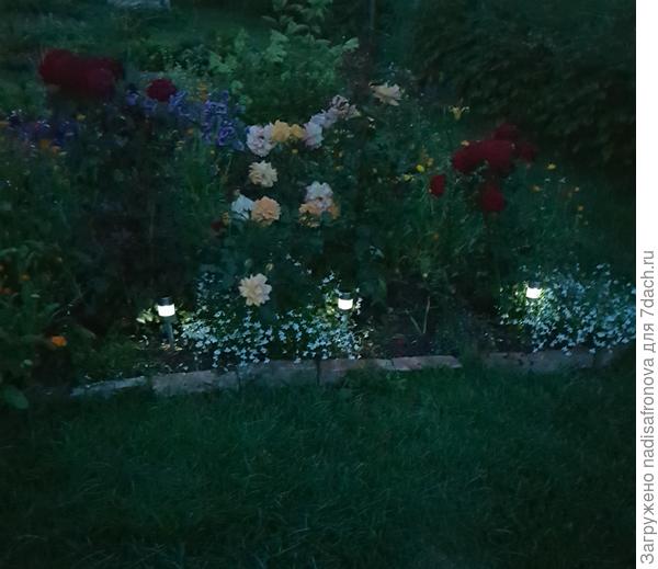 ALAIN  и Rumba ночью