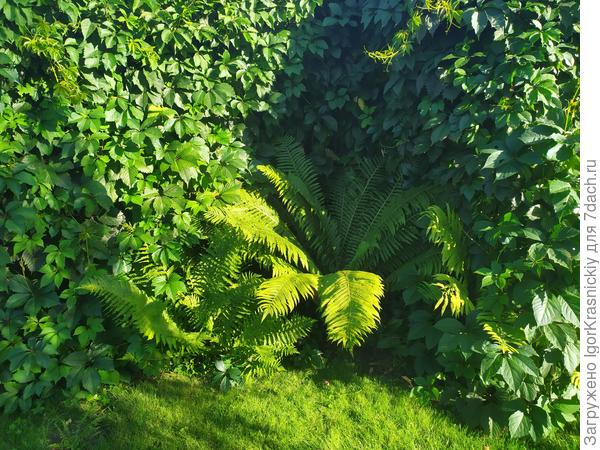 Северо-запад