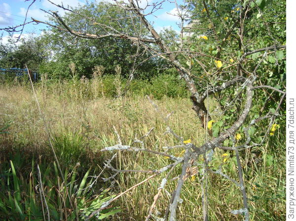 То что нам досталось от прежних владельцев