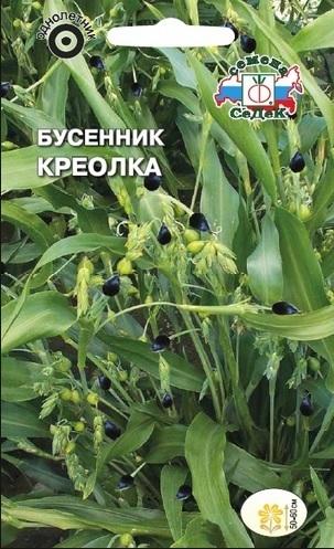 Бусенник