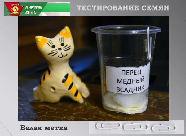 Весна пришла - весне дорогу