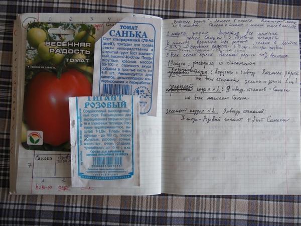 А вот и записи о кассете с помидорами для теплицы, где посеяны сорта Санька, Гигант розовый и Весенняя радость (пакетики от этих семян)