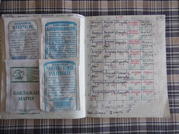 Это пакетики от семян и записи о кассете с баклажанами. Есть в таблице и записи о перцах, помеченные буковкой Н в кружочке (растения для огорода моей невестки Нади)