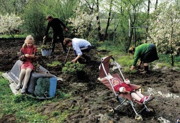 Прописка на даче в СНТ в 2024 году: правила, условия, ограничения