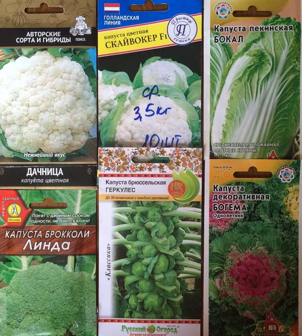 И еще - такие