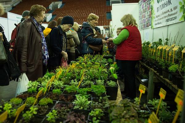 Посетители выставки получат бесплатные консультации