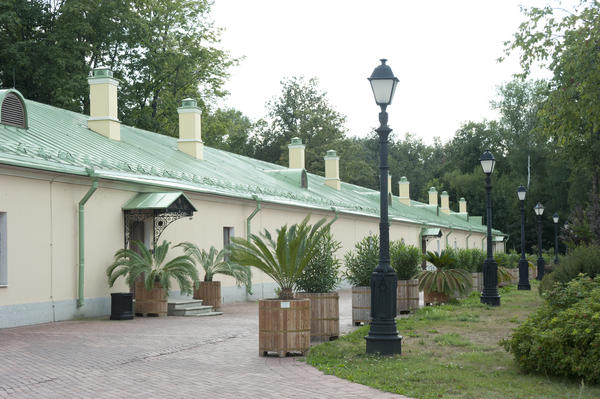 Ананасная оранжерея в Царицыно