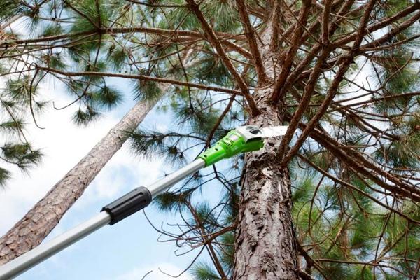 С аккумуляторным высоторезом Greenworks G24PS вам не грозят травмы от работы на высоте