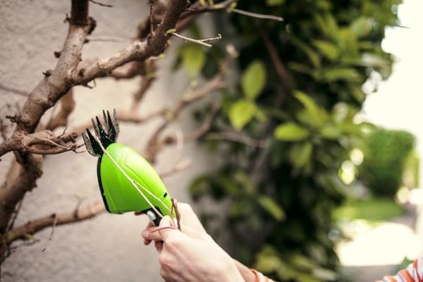 Все устройства линейки G-24 бренда Greenworks работают от аккумулятора 24V