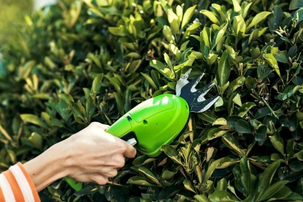 Топиарная стрижка кустарника будет вам по силам с аккумуляторными ножницами Greenworks