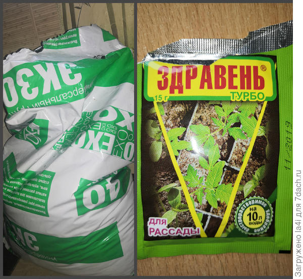 рлорл