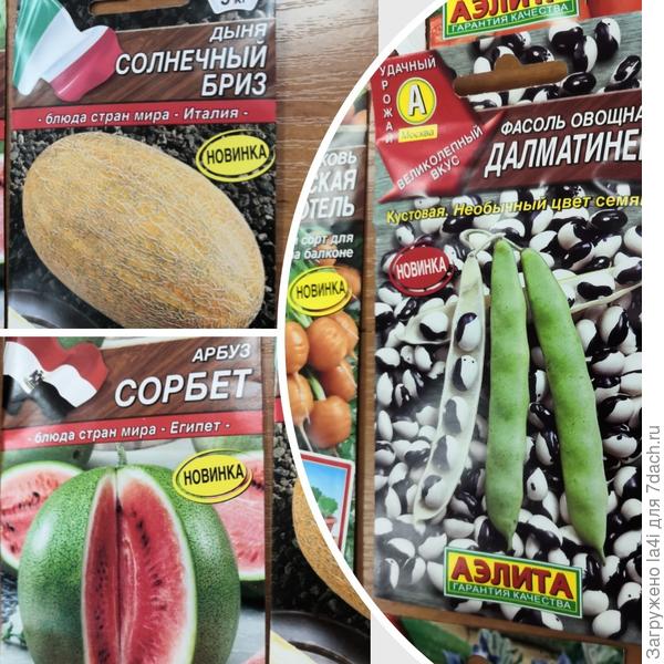 гнш