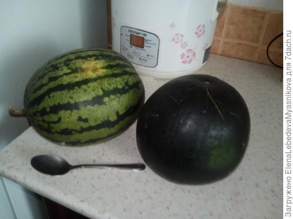 Арбузы выросли весом2-4кг