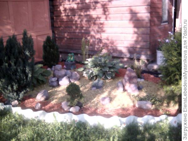 Угол между баней и сараем под инвентарь.Весной сын со снохой перетряхнули клумбу, застрелили чёрным геотекстилем