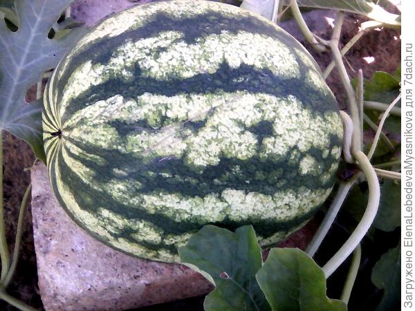 Чуть поменьше